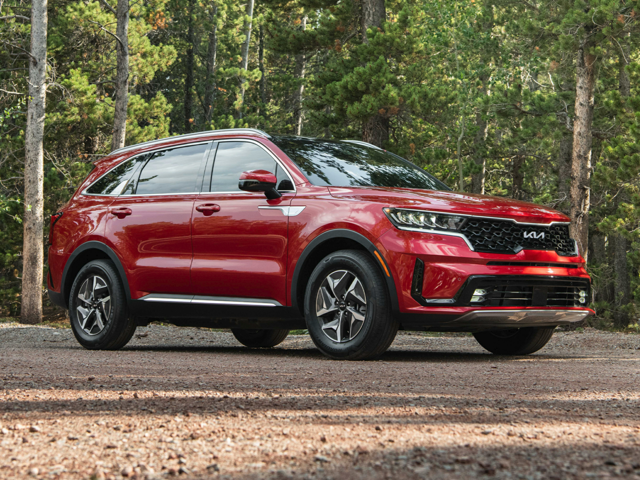 A red Kia Sorento Hybrid sitting in a redwood forest.
