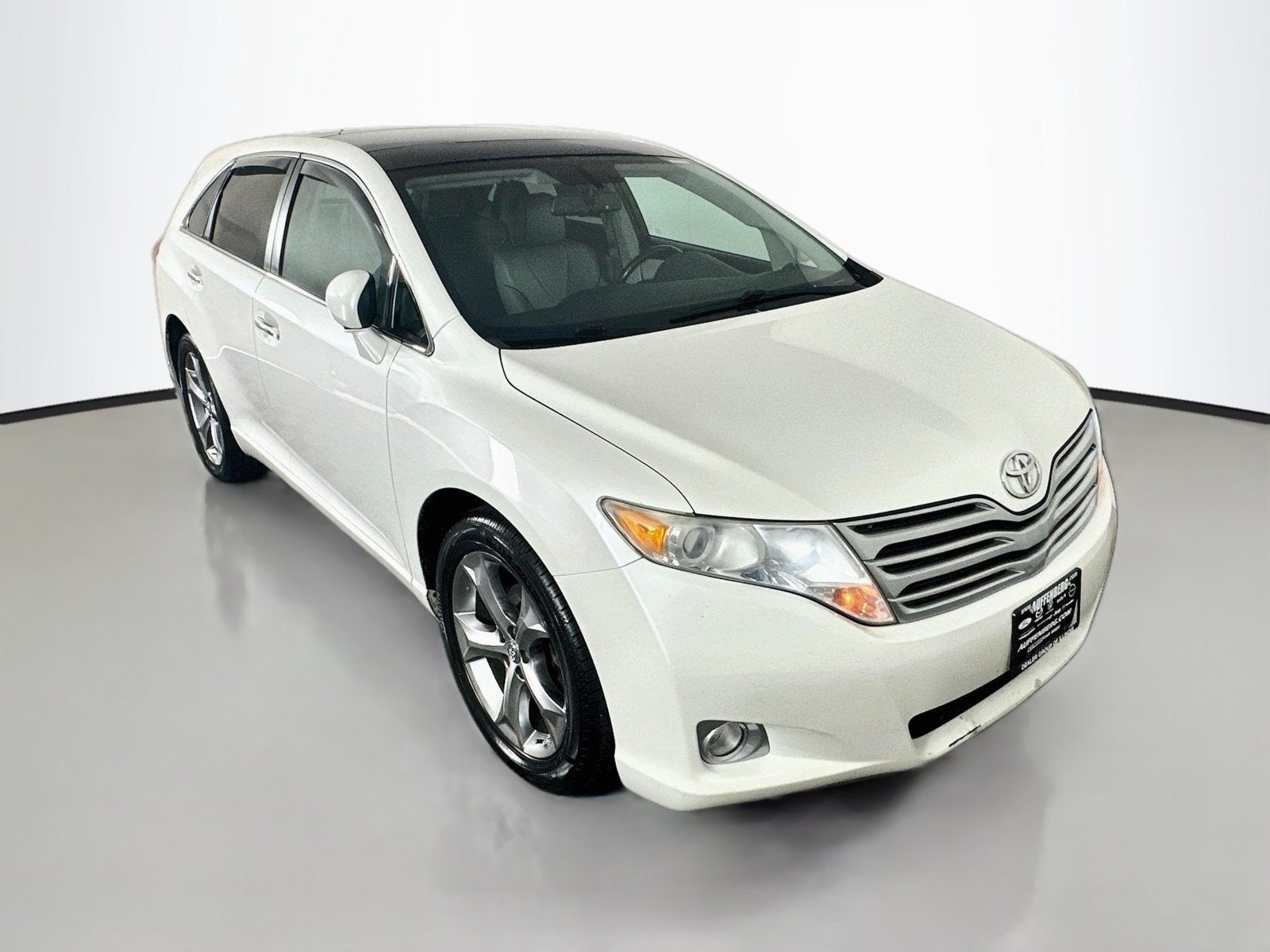 2010 Toyota Venza