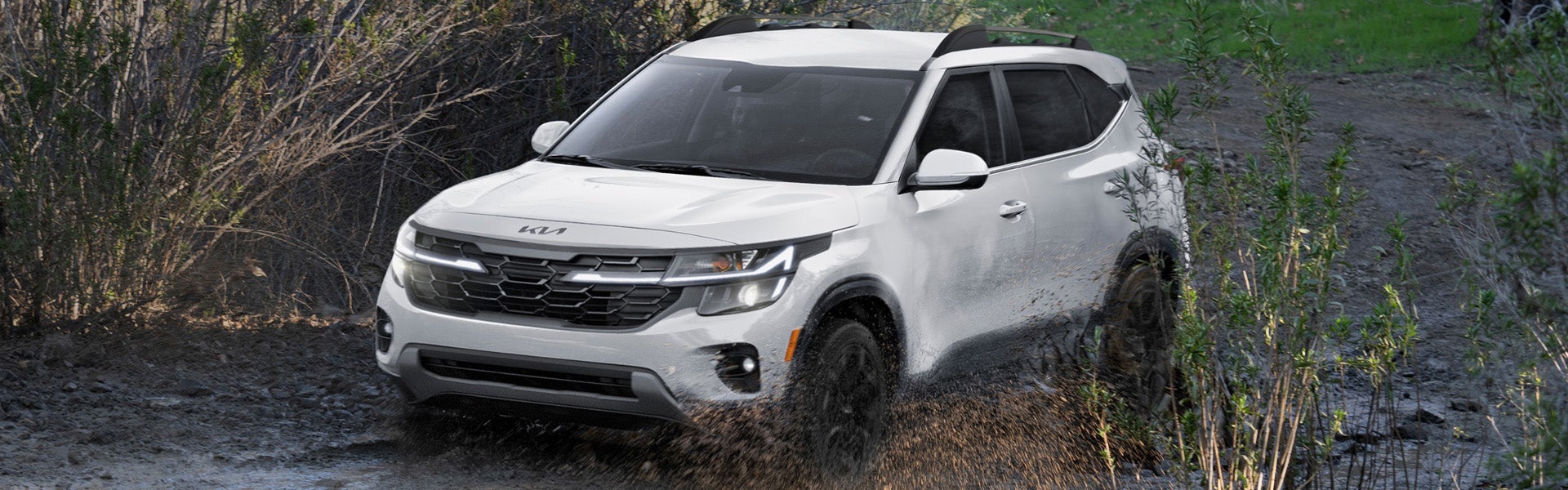 2025 Kia Seltos in Shiloh, IL